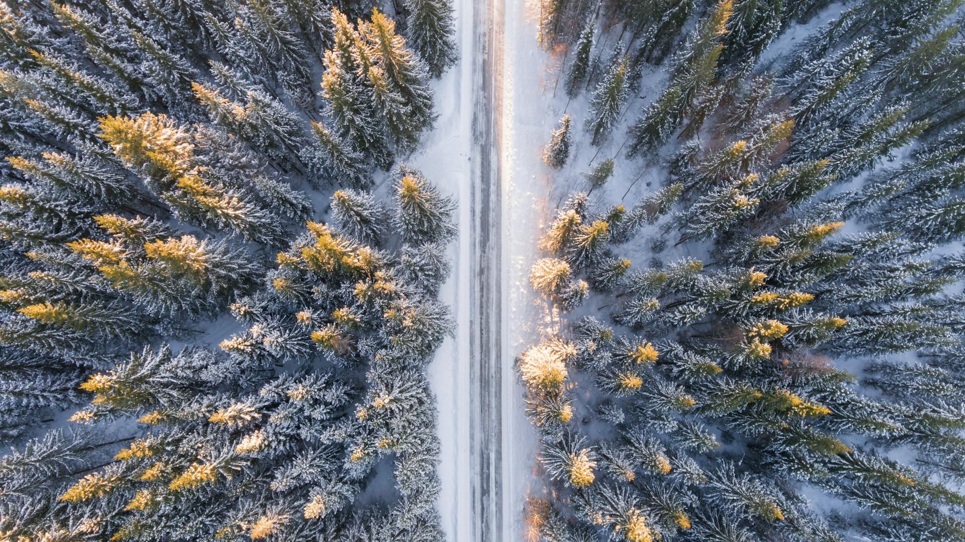 aerial photography of road in forest time to be thankful 