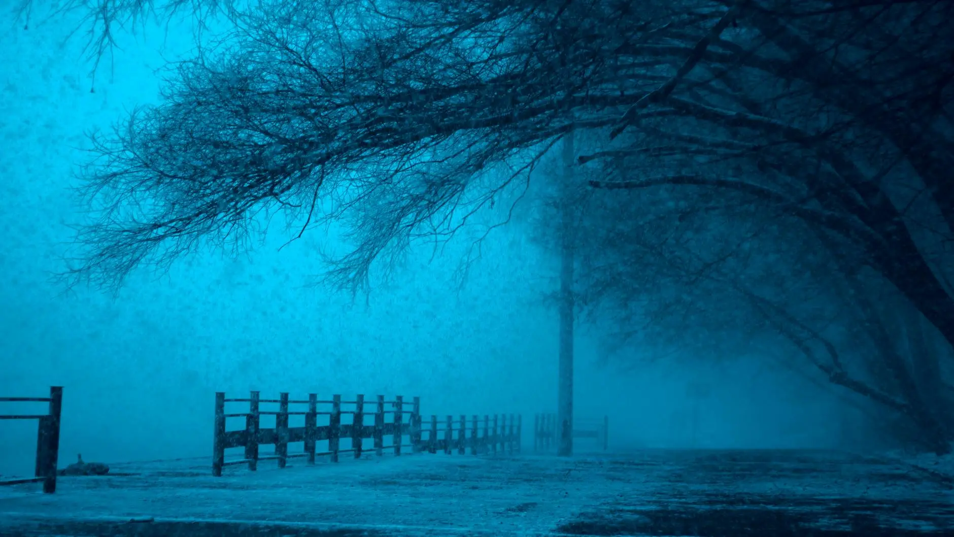 wooden fence under leafless tree it’s not terrible