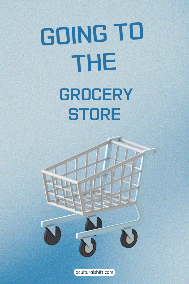 Read more about the article Going to the grocery store