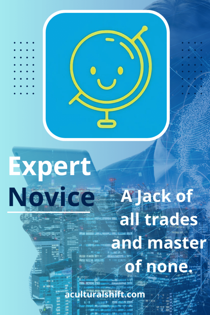 Expert novice