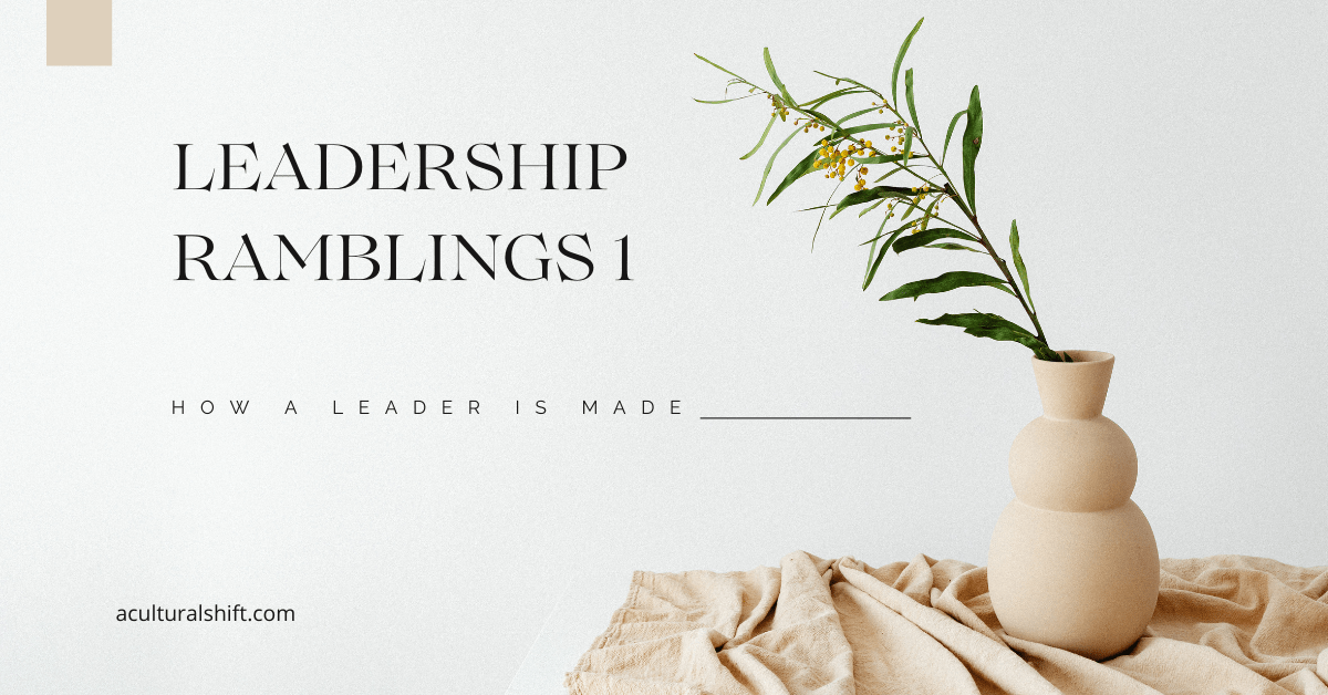 You are currently viewing Leadership ramblings 1, how a leader is made.